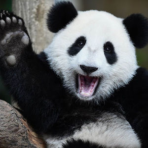 Meet your Posher, Catherine